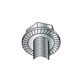Serrated flange screw head
